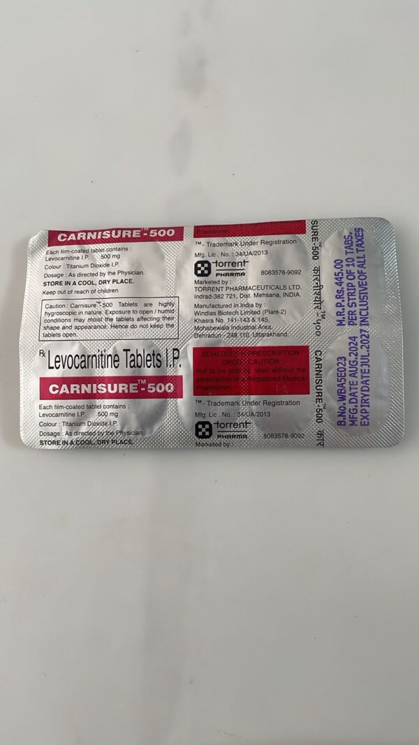 CARNISURE-500MG